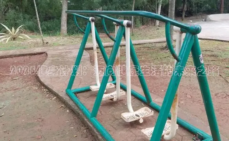 333体育官网入口