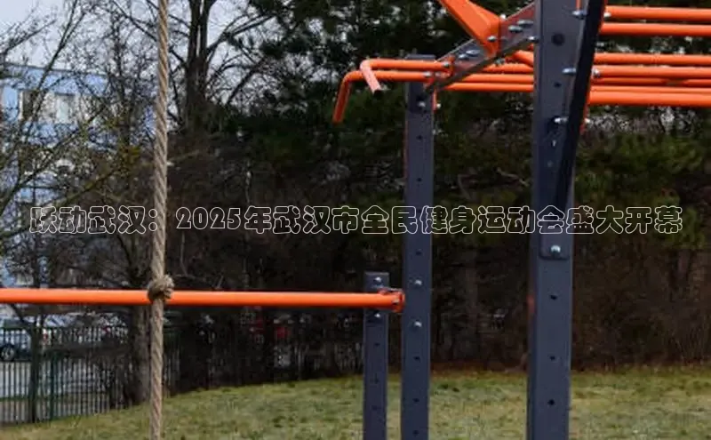 333体育官网登录入口