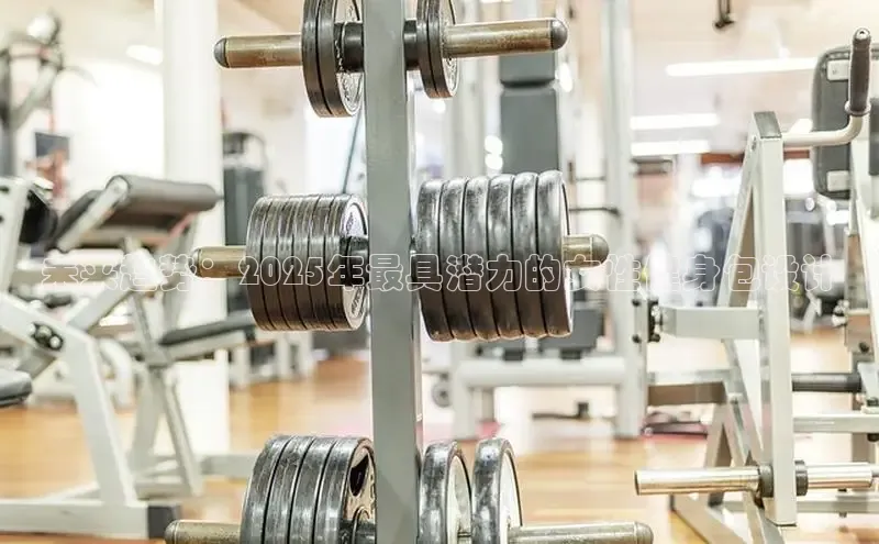 333体育平台官网