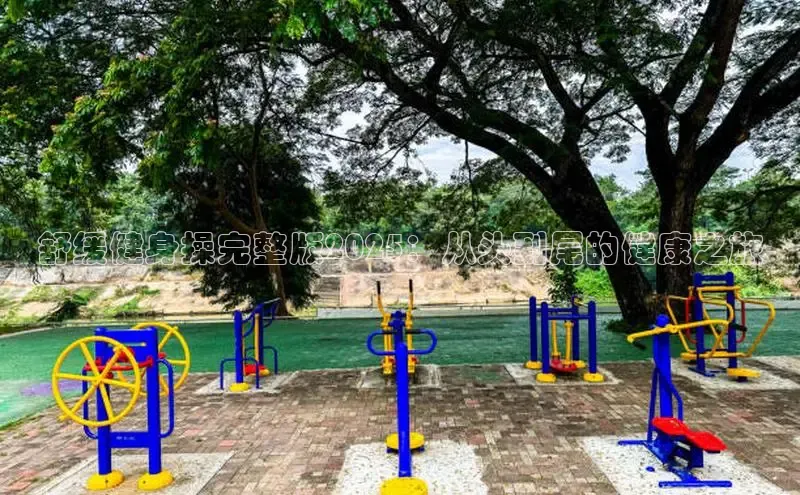 333体育平台App下载安卓手机下载