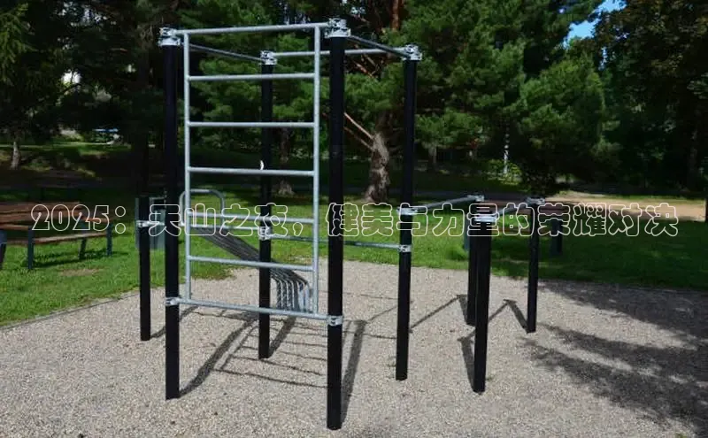 333体育平台网页下载