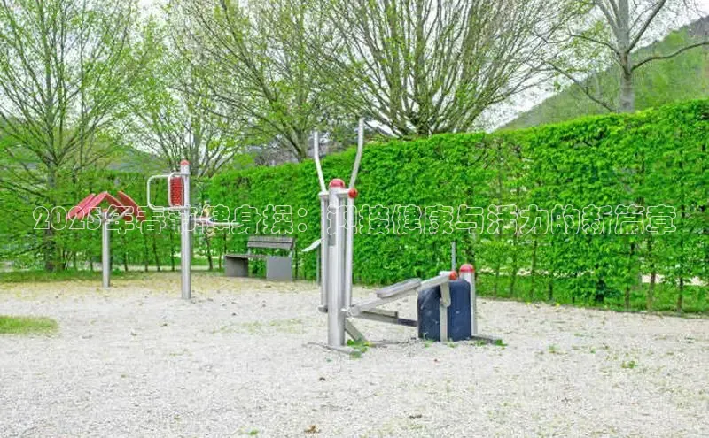 333体育官网入口