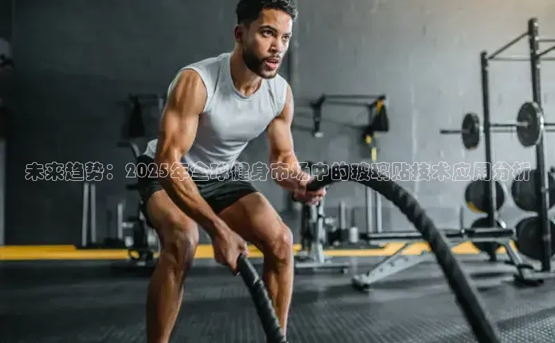 333体育官网入口