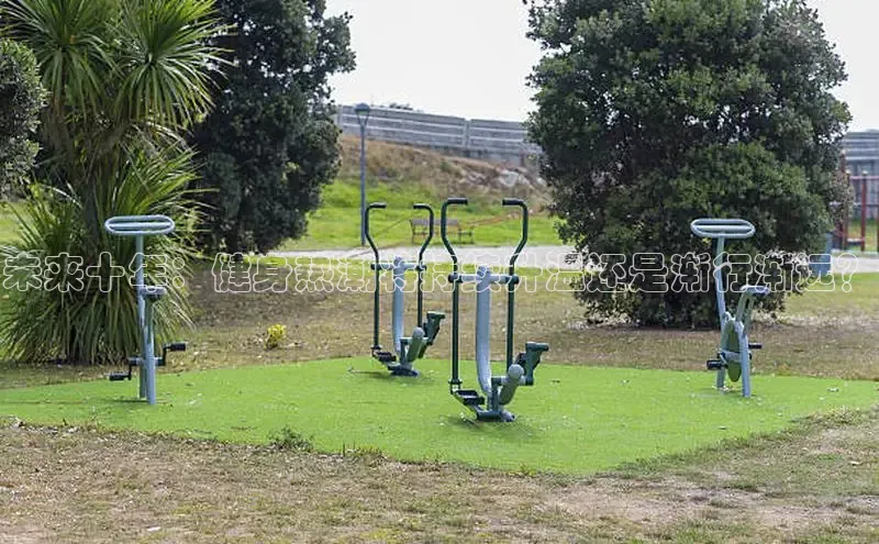 333体育官网入口