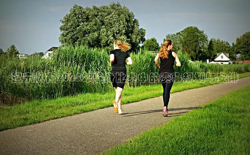 333体育网页登录